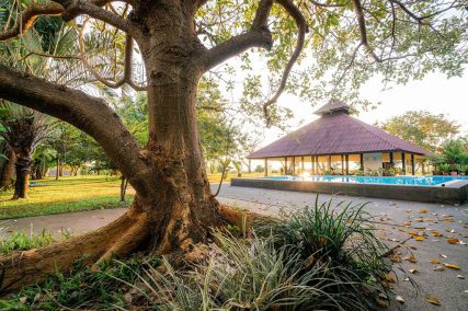 New Life Foundation is a nonprofit mindful recovery retreat in Chiang Rai, Thailand